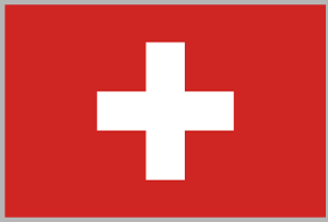 CHF_flag